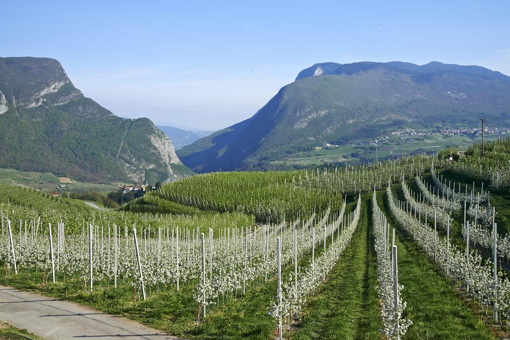 B&B La Casa Del Sole San Michele allʼAdige Zewnętrze zdjęcie