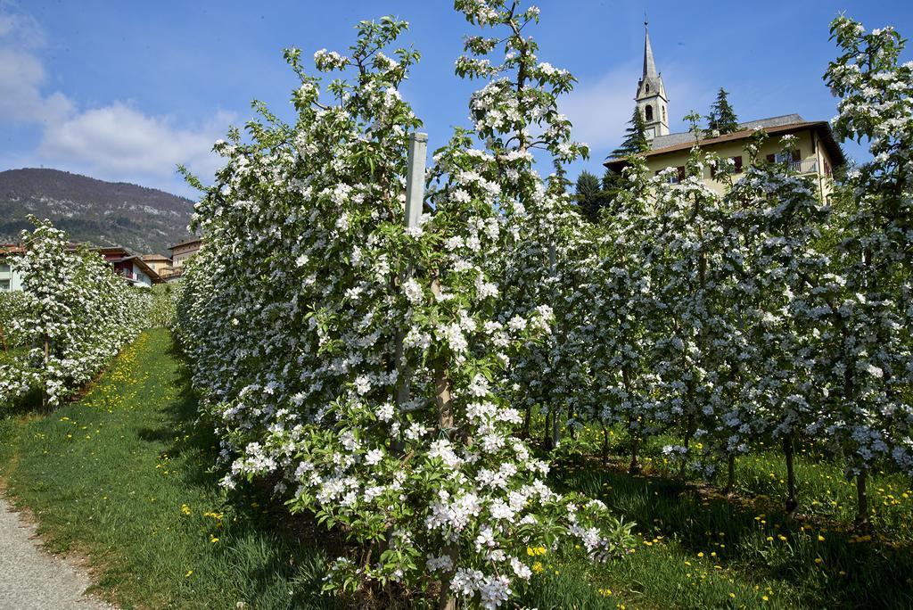 B&B La Casa Del Sole San Michele allʼAdige Zewnętrze zdjęcie