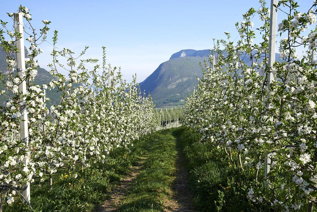 B&B La Casa Del Sole San Michele allʼAdige Zewnętrze zdjęcie