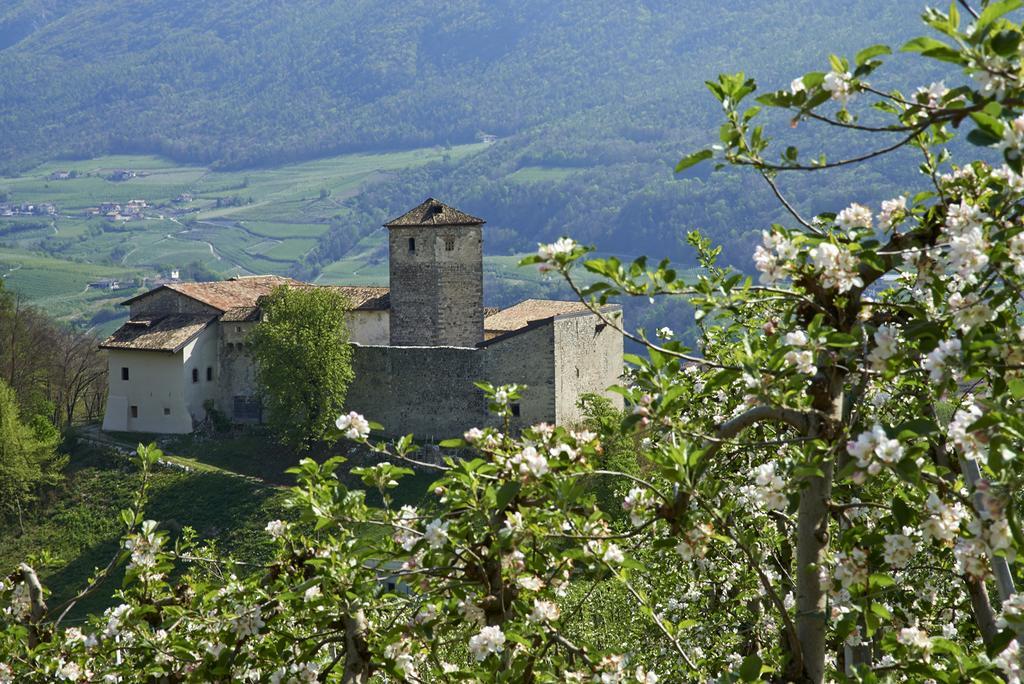 B&B La Casa Del Sole San Michele allʼAdige Zewnętrze zdjęcie